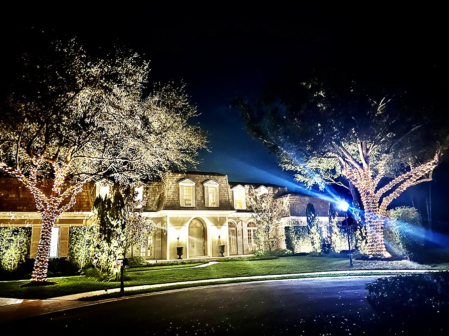 Holiday Lighting