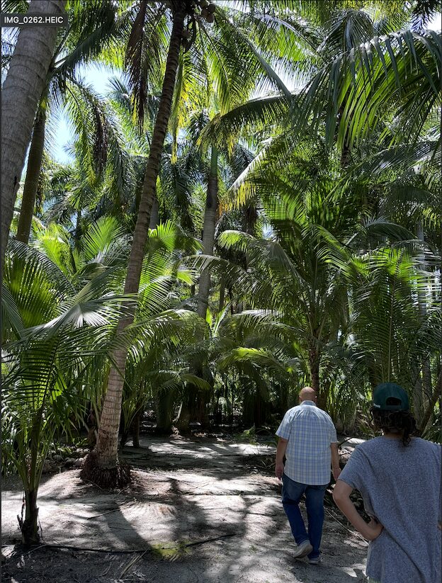 Tree Maid Tree Farm 2 in Palm Beach County, FL