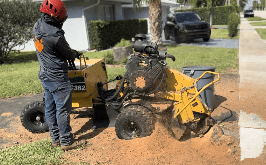 Stump removal and tree service stump grinder operated by Tree Maid Tree Service at a property in Greenacres, FL