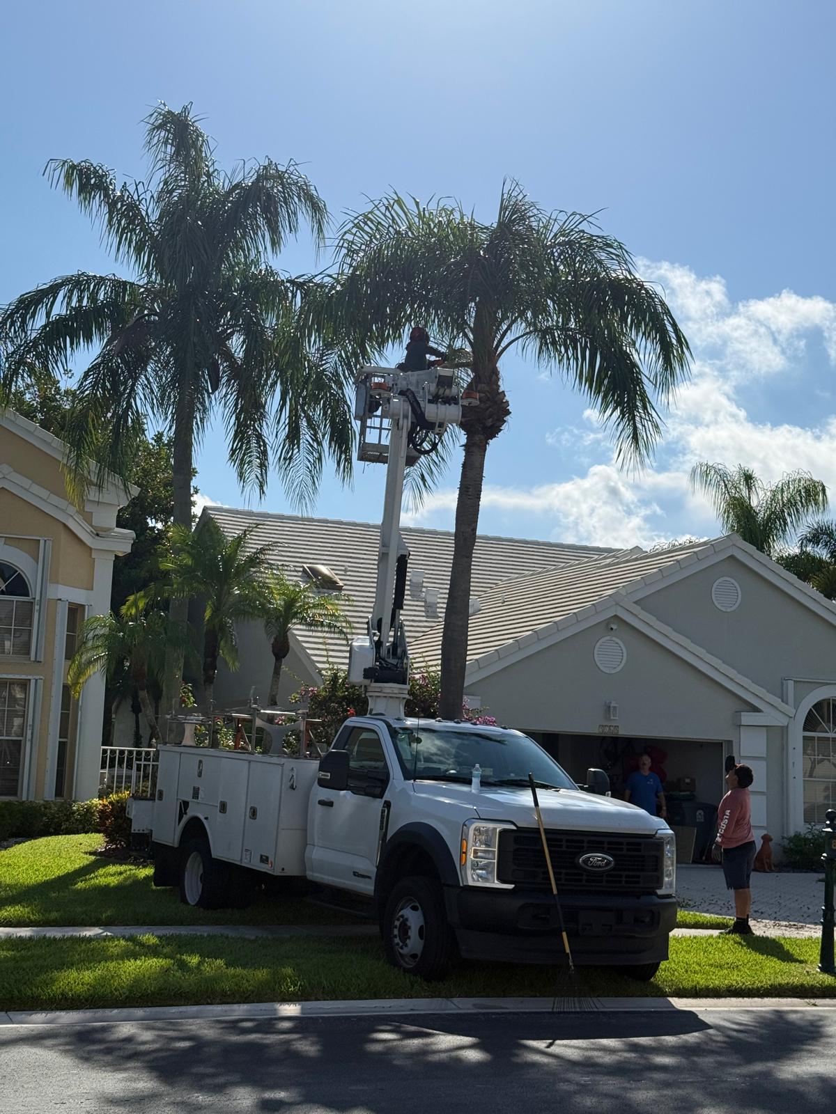 Tree trimming job by local South Florida tree company, Tree Maid Tree service, in Boynton Beach FL
