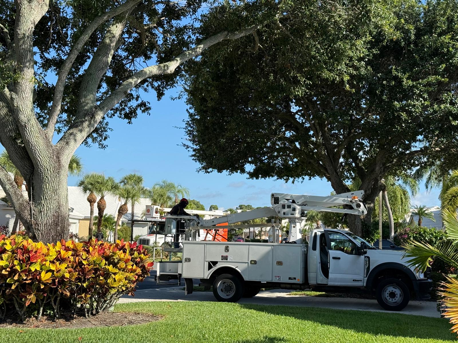 Tree Maid Tree Service Truck Parked Bucket in Palm Beach County, FL