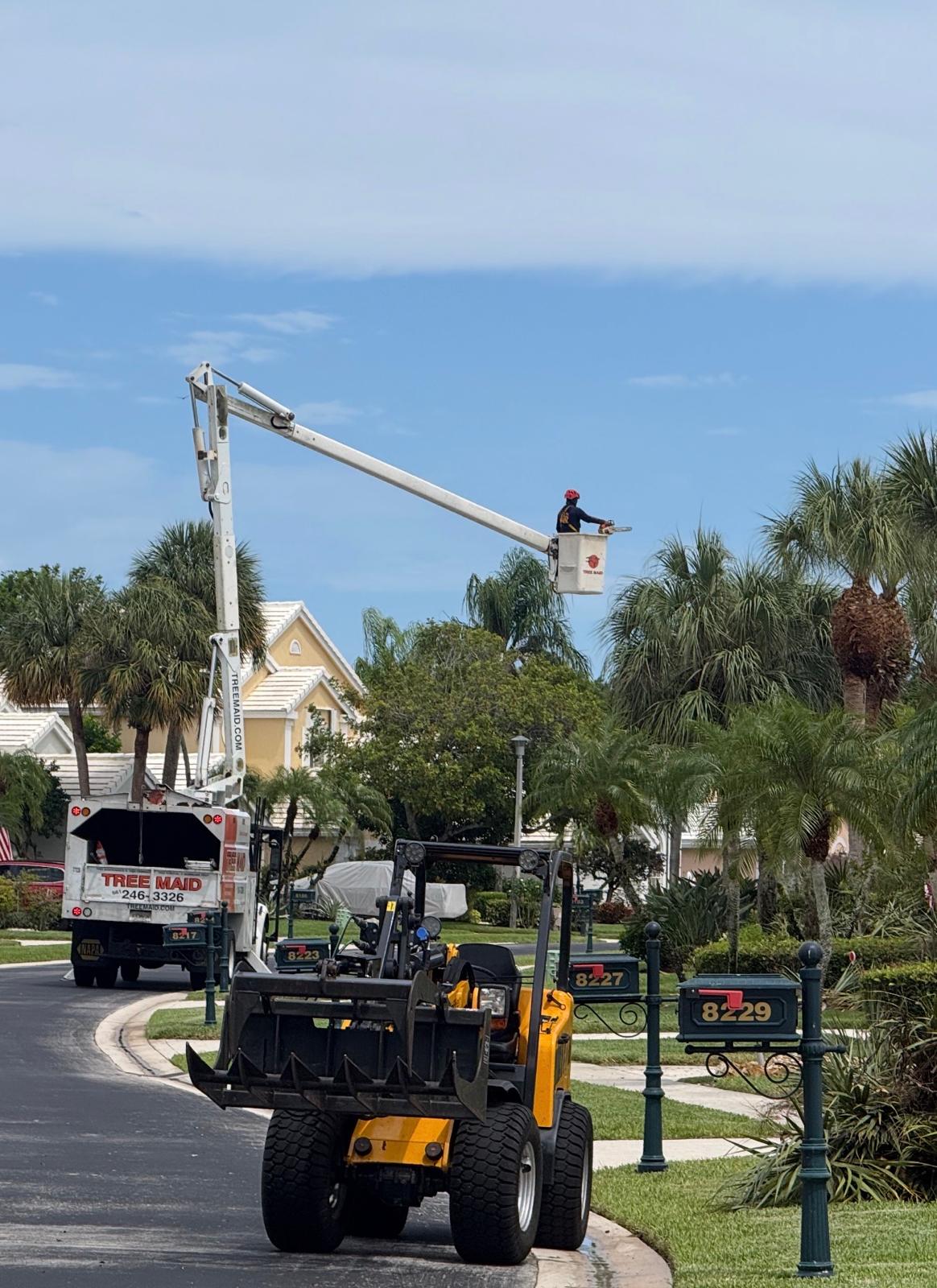 Tree Maid Tree Service Truck Trimming Tree House in Palm Beach County, FL