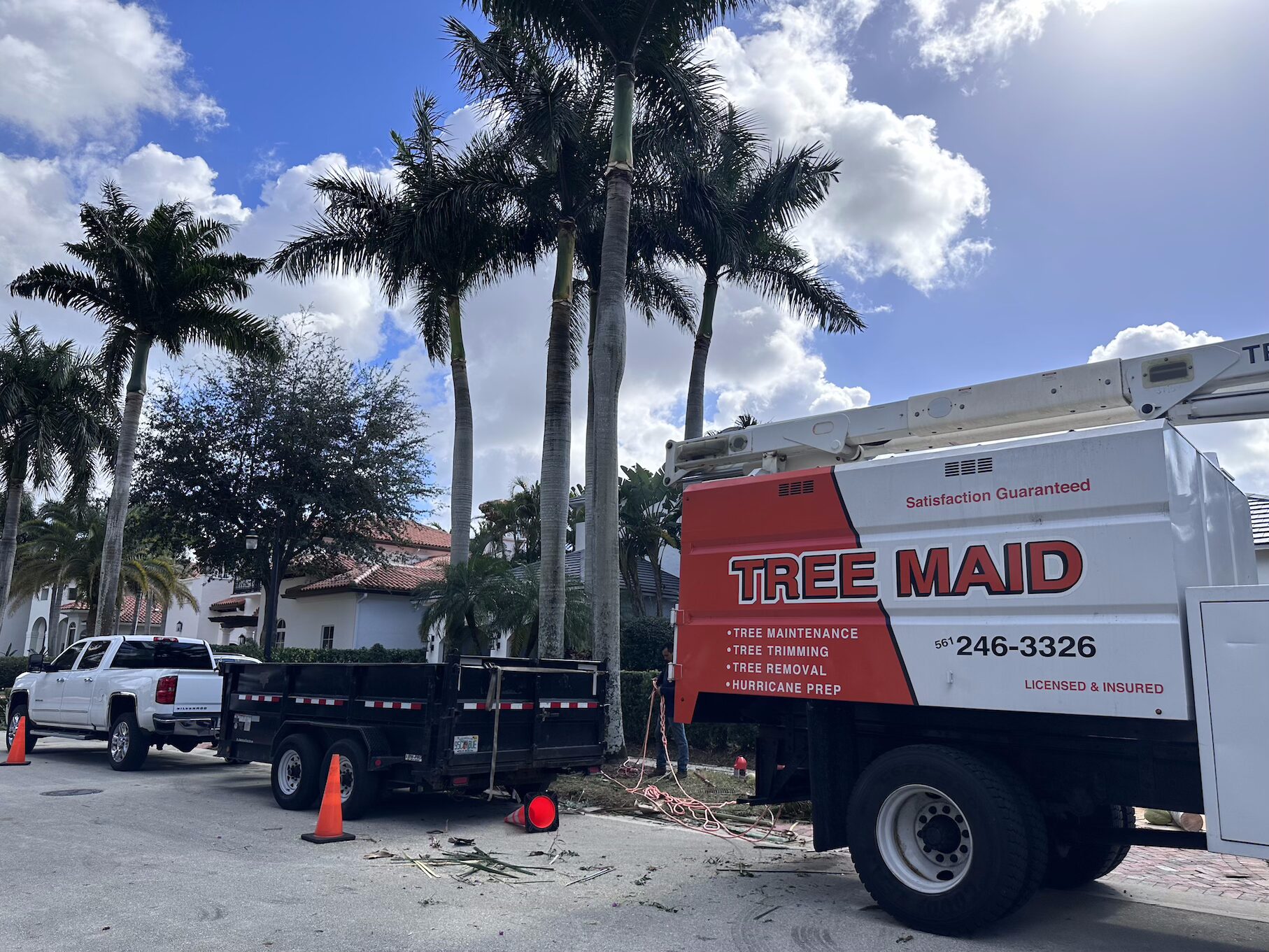 Professional Tree Care Boca Raton- Satisfaction Guaranteed for Palm Tree Trimming and Pruning