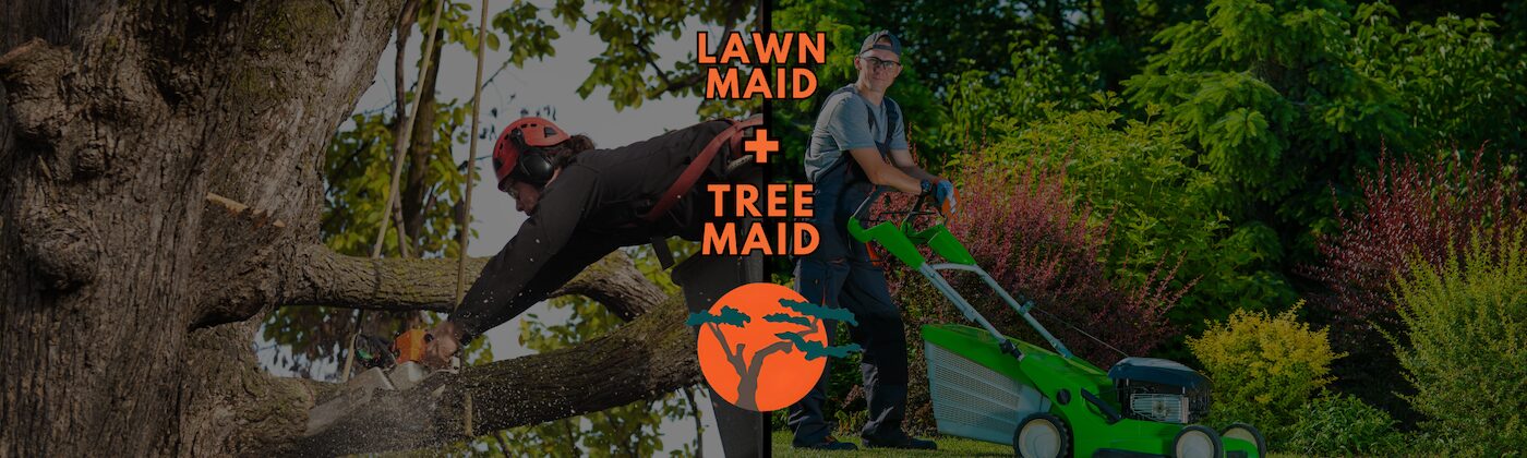 Best Boynton Beach tree service and tree care by Lawn Maid! Enjoy Boynton Beach Landscaping Service Lawn and Garden care by Lawn Maid