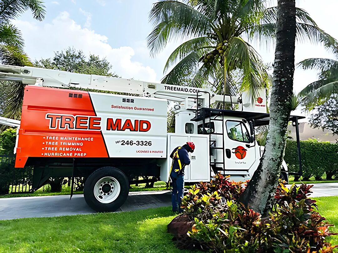 Tree Removal Boynton Beach and stump removal for business and homeowners by Tree Maid
