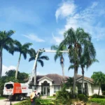 Tree trimming Boynton Beach and Palm Beach County by Tree Maid tree services. 100% Satisfaction promise for removal, stump removal, pruning, crown reduction, and tree care