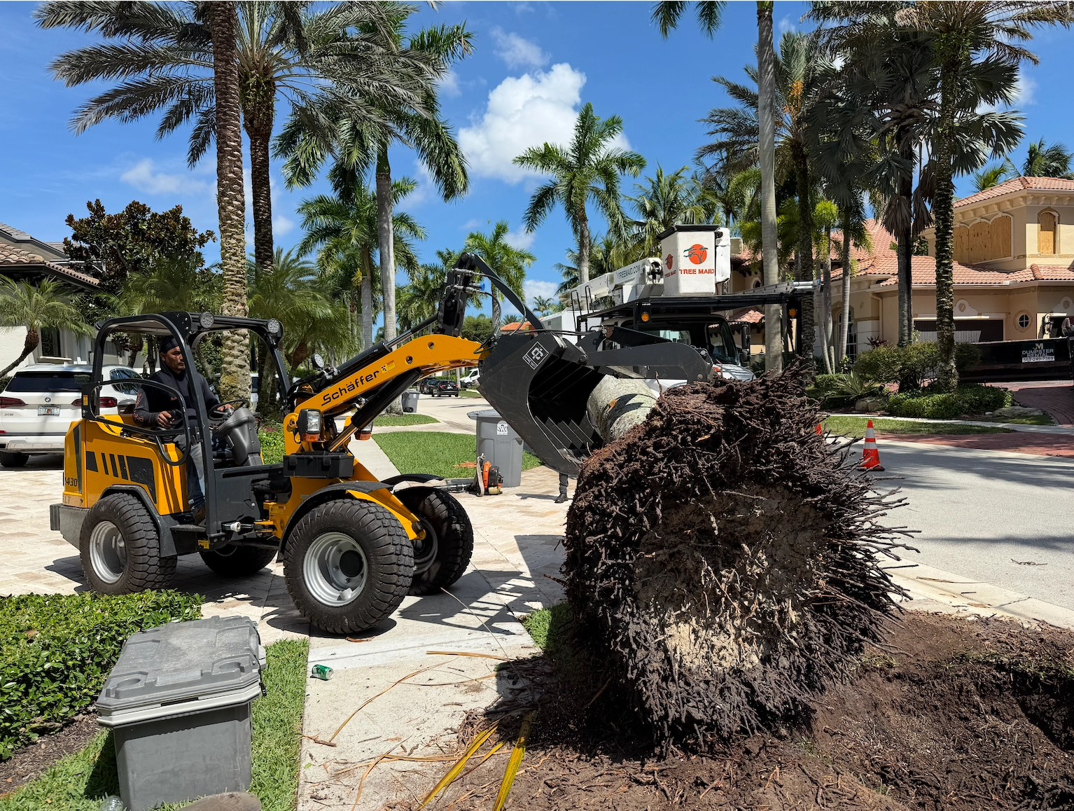 Stump removal Palm Beach Gardens - Professional Tree Service, Tree Removal & Tree Maintenance