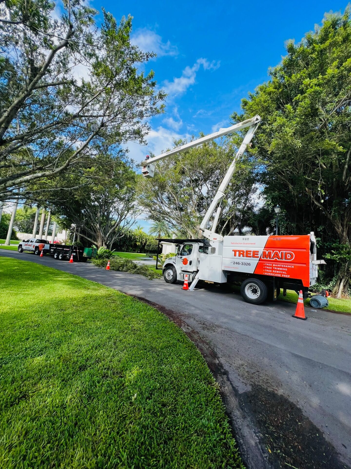 Tree Maid tree service truck with aerial lift positioned for Live Oak trimming in Palm Beach Gardens, surrounded by lush greenery and clear blue sky.
