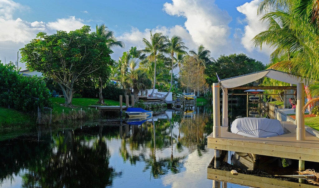 Boynton Beach Palm Tree and tree trimming, removal, and care tree service by Tree Maid