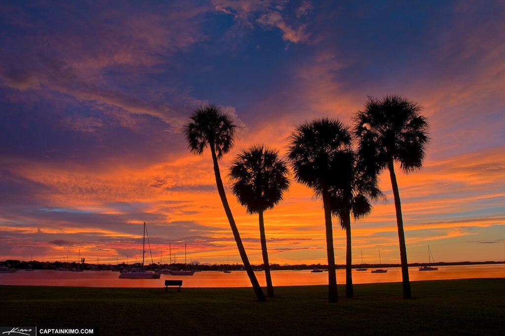 Tree Removal Lake Worth, FL