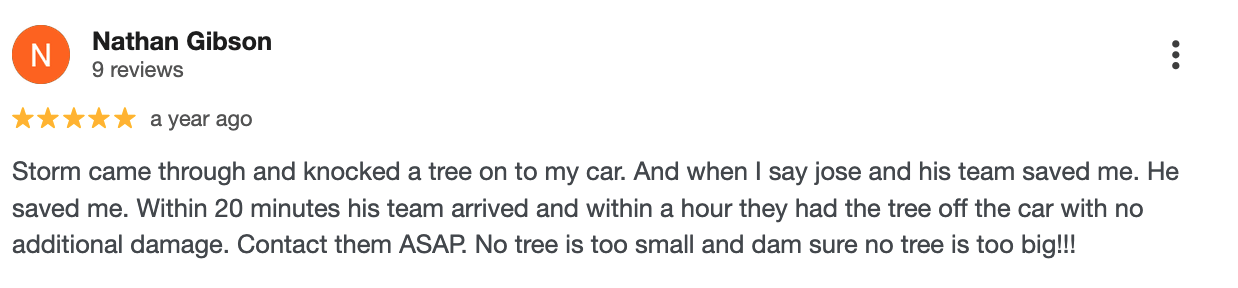 Tree Made Tree Removal Testimonial Lake Worth Beach