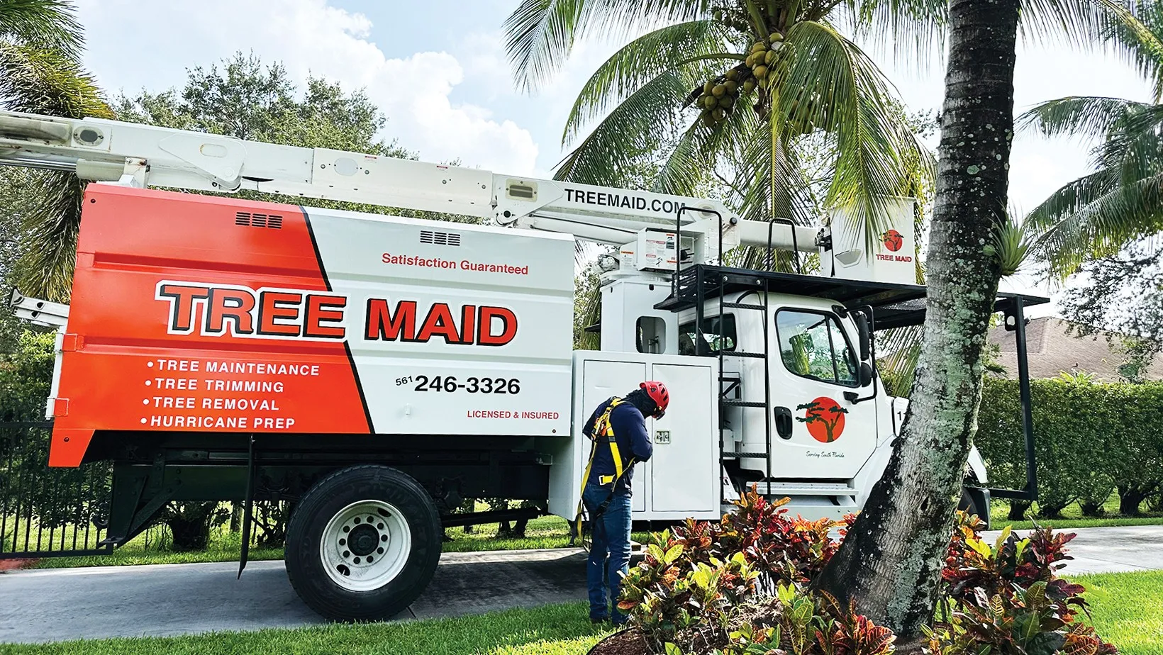 Tree Maid branded truck parked beside palm trees in Lake Worth, FL