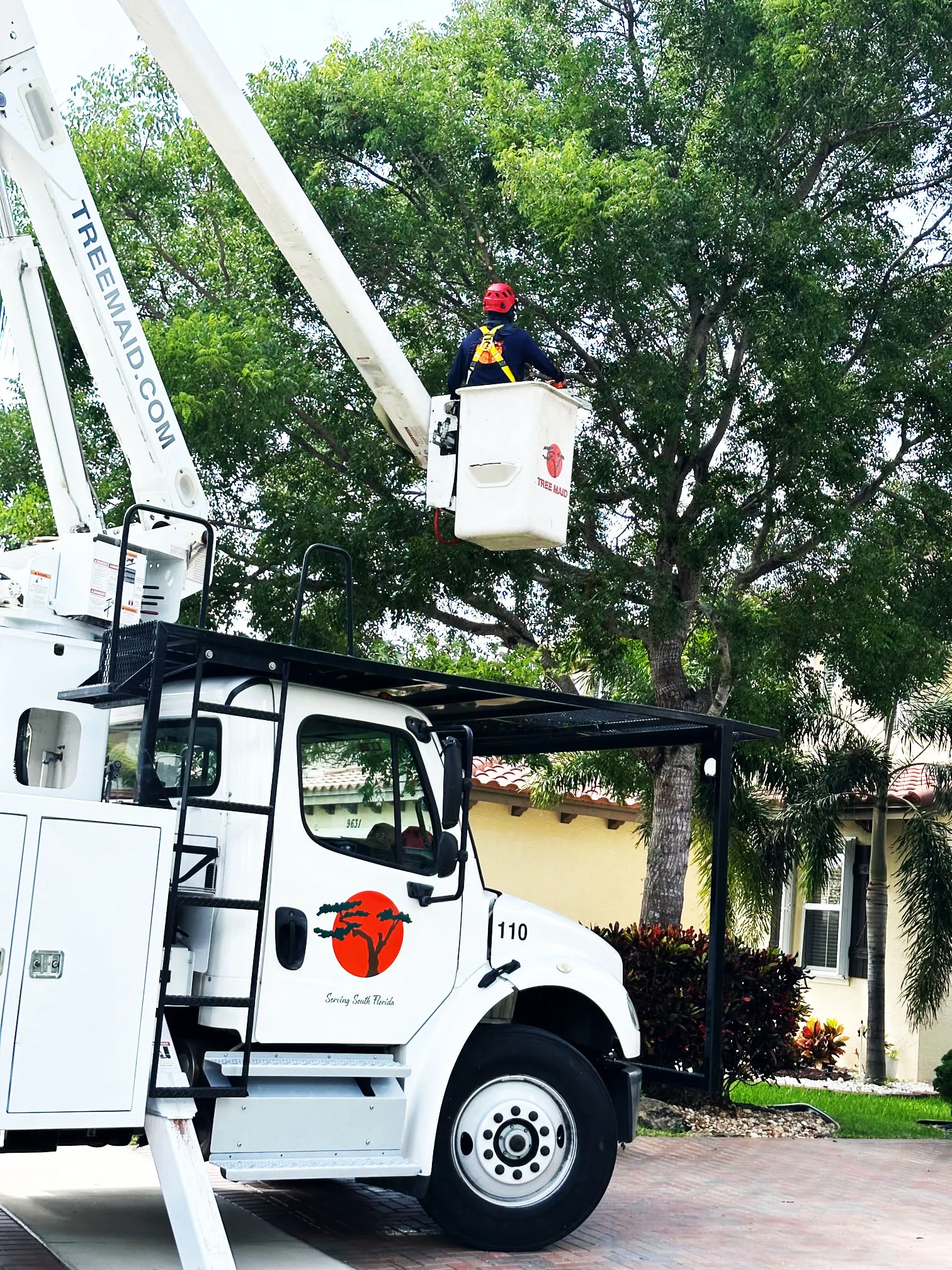 Tree maintenance worker in a lift trimming trees near a residential area in Lake Worth, FL